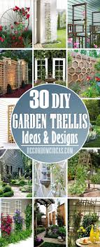 Climbing plants and vines like clematis, jasmine, and ivy are some of the most popular types of plants used in a trellis, simply because they offer great coverage and grow quickly; 32 Awesome Garden Trellis Ideas And Designs For 2021