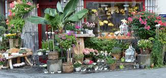 Chambre Froide Pour Fleuriste Quel Systeme Choisir