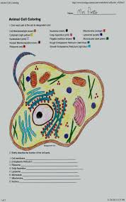 Plant Cell Coloring Key Elegant Coloring Stunning Plant Cell Coloring Answer Key Animal Cells Worksheet Cells Worksheet Plant And Animal Cells