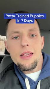 Potty Train Ypur Puppy In 7 Days #pottytrainedpuppy #pottytraineddog  #puppypottytrain #puppytraining #housebreakingapuppy #housetrainingmydog  #dogtraining