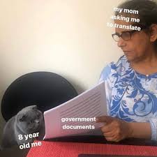 Woman Showing Papers To Grey Cat Know Your Meme