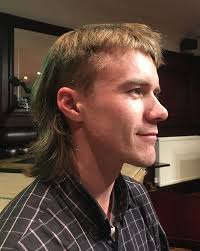 Starting from visiting a barbershop for the first time or learning to cut the own hair with a clipper set. Mullet Haircut Wikipedia