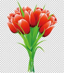 باقة توليب باقة زهور باقة زهور زهور مقطوعة نبات بتلة جذع نبات