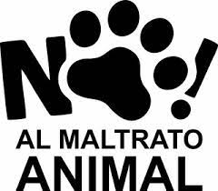 Concurso de 300 palabras / ¿Qué harías para evitar el maltrato animal en tu  comunidad? @naka05 — Steemit