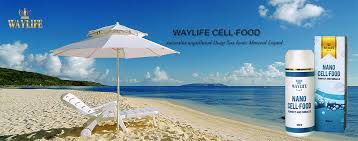 Image result for waylife nano cell food