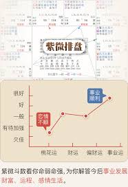 第104章 长公主其人 就这样？楚玄辰冷笑，眼里满是讥讽。 这话，他会信？ 你要是不信，要不你去问皇上？云若月挑眉。 本王警告你，你要是敢对皇上说一些不该说的话，本王不会放过你。楚玄辰沉声威胁。 ç´«å¾®æ–—æ•° è™ŽæŽŒæ–‡åŒ–
