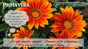 Talking About The Weather And Seasons In Spanish Estaciones Del Ano Clase De Espanol Aprender Espanol