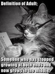 Definition Of Adult Funnycatpics Funny Cats Cat Memes Funny Animal Pictures