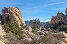 10 Best Hikes In Joshua Tree National Park Cleverhiker Best Hikes Joshua Tree National Park National Parks