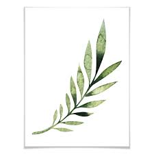 Check spelling or type a new query. Kvilis Palm Leaf Palmenblatter Palme Blatter Grun Wall Art De Grune Natur Palmenblatter Bilderrahmen Gold