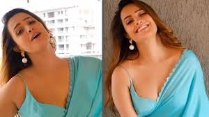 Watch: Anita Hassanandani Reddy dances in beautiful saree and deep neckline  blouse, video goes viral