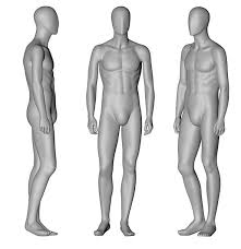 Male Mannequin 3d Printing Model 3d Model Of A Male Character 3d 3dmodel 3ddesign 3dcharacter 3dcomic Vr Ar Male M Print Models 3d Pose Model Prints