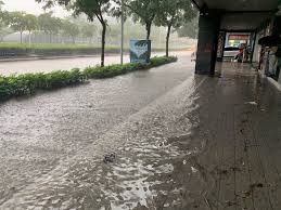 Search for text in self post contents. é›¨å½ˆç‹‚ç‚¸å¤§å®‰æ£®æž—å…¬åœ'æ·¹æˆæ°´æ±  å·¥å•†æ™‚å ±