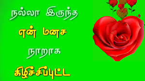 tamil love song green screen video youtube