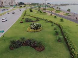 Cinta Costera Golf Courses Field Golf