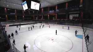 Check spelling or type a new query. Ice Hokey Stock Video Footage 4k And Hd Video Clips Shutterstock