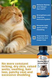 Cat Skin Allergy Relief Cat Skin Dermatitis Allergic Dermatitis