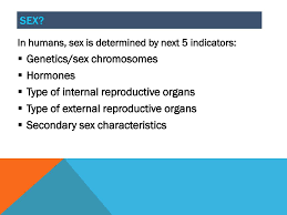 This may be apparent at birth or become so later in life e.g. Problems Of Intersex People And Intersex Transitioners In Russia Ppt Download