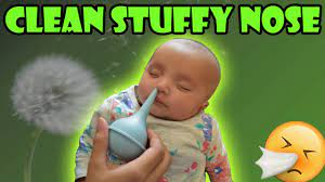See full list on worldtopthing.com How To Remove Hard Boogers From Newborn Baby Nose