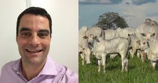 Zootecnista alerta para impacto econômico negativo da falta de limpeza de  pastos