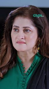 Saari Galti Hamesha Meri Hee Hoti Hai #VisaalEIshq #FahadSheikh #HibaAziz  #reelviral #whattowatch