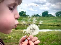 Cottage Grove Reports