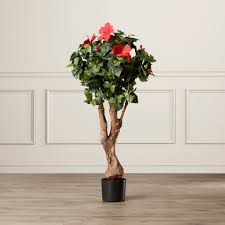 Blue chiffon rose of sharon (hibiscus) plant with blue flowers. Winston Porter Alkis Artificial Hibiscus Flowering Tree In Pot Reviews Wayfair