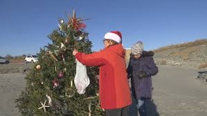 We have not been to the farm for a regular pumpkin patch picking/hayride or christmas tree adventure. Seashells Adorn Magical Christmas Mystery Tree At Ri Beach Wjar