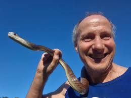 Canine Snake Avoidance Training. What: The ability to teach your dogs to  avoid snakes based