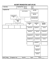 30 printable blank organizational chart forms and templates