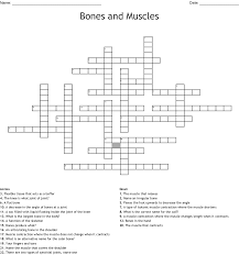 This article covers the anatomy of bones, their classification, functions and clinical aspects. Bones And Muscles Crossword Wordmint