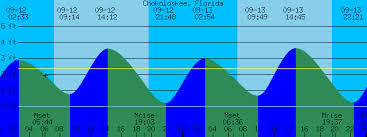 Chokoloskee Florida Tide Prediction And More