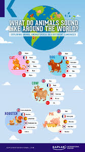 Animal Noises Onomatopoeia Infographic European Day Of Languages Grammar And Vocabulary Intercultural Communication