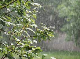 Selecionamos cuidadosamente diferentes tipos de chuva que são perfeitos para relaxar. Chuva De Abril Supera A Media Em Boa Vista Em 2 Dias Climatempo