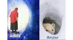 Memes de dibujos animados memes originales caras de memes imagenes divertidas para whatsapp fotos de memes memes para comentarios plantillas para memes insultos divertidos memes divertidos. Adios Wormhole Bonjour Polar Bear Memes Stayhipp