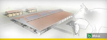 Nous disposons désormais d'une expérience spécifique en la matière. La Conception D Un Batiment D Elevage Et D Une Installation Photovoltaique Avec Une Modelisation Architecturale Biblus
