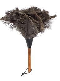 Birds Of The Same Feather Make A Good Feather Duster Redecker Ostrich Feather Duster Great For Everyday Dusting The Feathers Of The Ostrich Are Known For Their Delicate Feather Duster Ostrich Feathers Feather