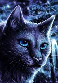 So i drew some warrior cats. Warrior Cats Wallpapers Bluestar Wallpaper Cave