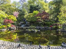 The most important part of the japanese garden is its forms. How To Create A Japanese Garden Saga