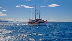 He finished his studies in 1936 with a dissertation (dr. Konstantin Gaitanides News Hintergrunde Fvw