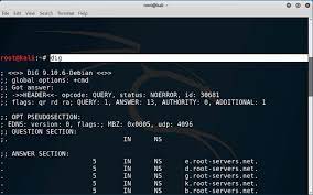 Hacking Dns Lookup With Dig Dns Name Server Dns Records