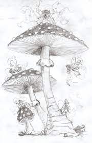 Pin On Shroomy Stuff