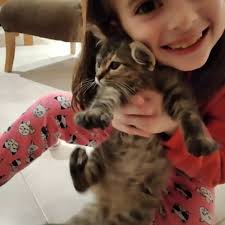 Ana Maria Vecchi (@anamariavecchi) • Instagram photos and videos