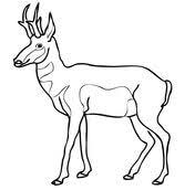 9,896 likes · 108 talking about this. Pronghorn North American Antelope Coloring Page Coloring Pages Free Coloring Pages Antelope