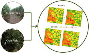 Preliminary Farm Level Estimation Of 20 Year Impact Of