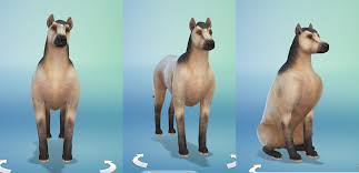 Hair · shoes · furniture · decor · houses · accessories · make up · eyes · mods · build · sims · websites. Sims 4 Pet Horse Mod