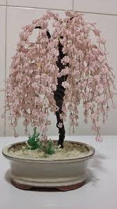 Fig tree, common fig : Bead Weeping Willow Bonsai Tree Beads Etsy
