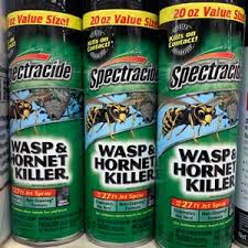 The Best Wasp Hornet Spray From Home Depot 2019 Slide Lok Garage Interiors