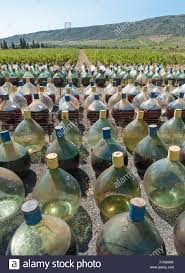 • maury doux, mas amiel vintage 2012: Bei Mas Amiel Reift Der Wein In Touries Unter Blauem Himmel Das Roussillon Zur Reife Maury Vallee De L Agly Frankreich Stockfotografie Alamy