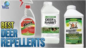 Check spelling or type a new query. 10 Best Deer Repellents 2018 Youtube